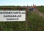 P9116801.JPG (101664 bytes)