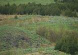 P1010604.JPG (1747051 bytes)