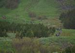 P1010616.JPG (1842247 bytes)