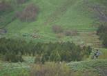 P1010619.JPG (1846642 bytes)