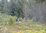 IMG_1060.JPG (603061 bytes)