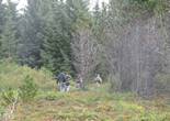 IMG_1061.JPG (584998 bytes)