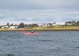 20230918_131623.jpg (56424 bytes)