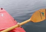 20230830_092725.jpg (35524 bytes)